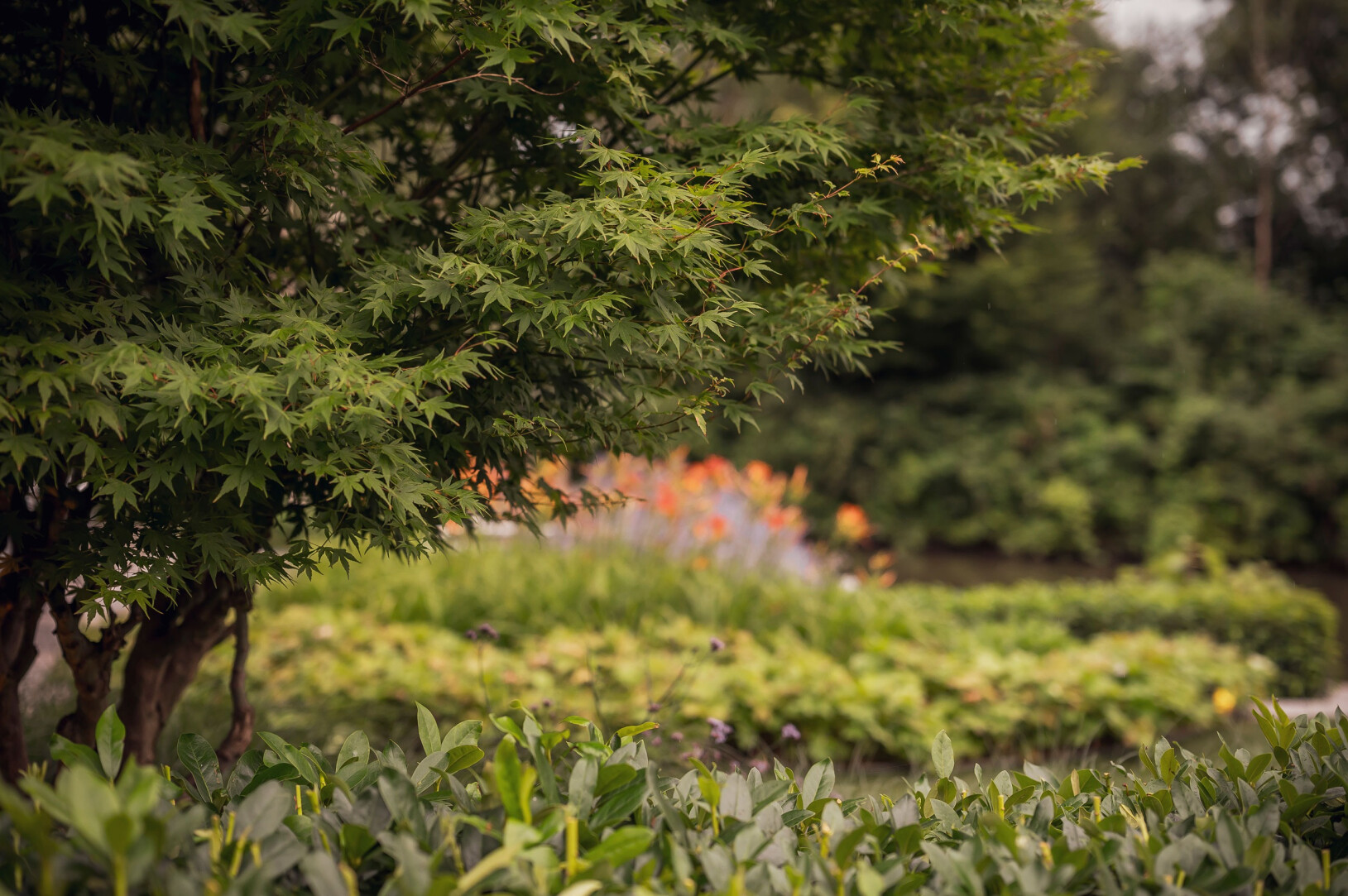 Tuinaanleg Buitenpracht