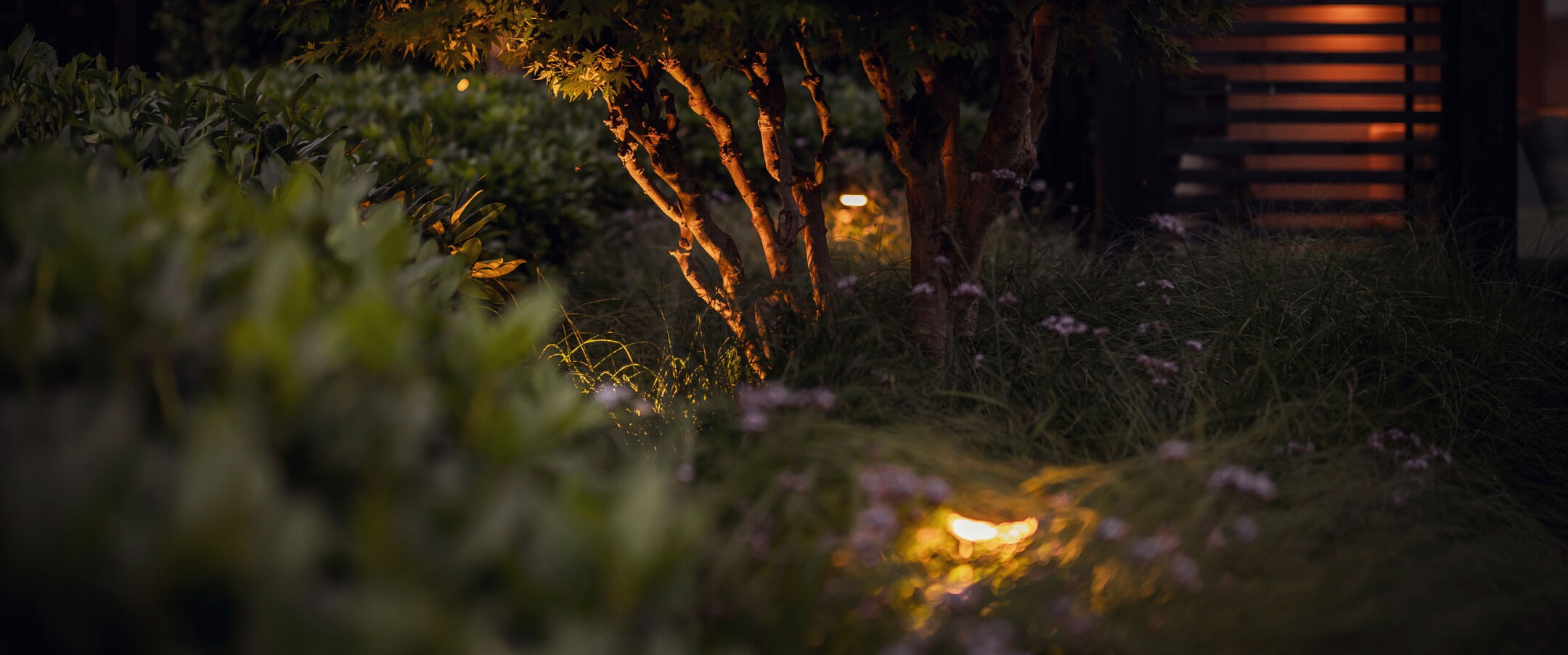 BPB-_z6f6335-tuin-tuinkamer-Opheusden-LR-103