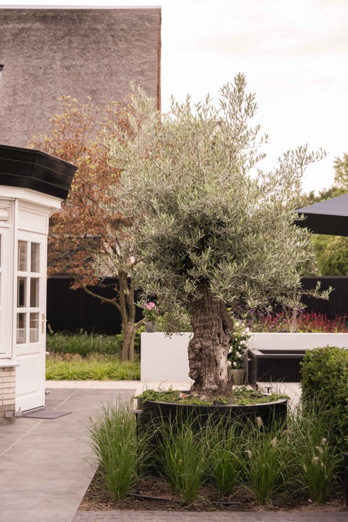 Maatwerk tuin Buitenpracht