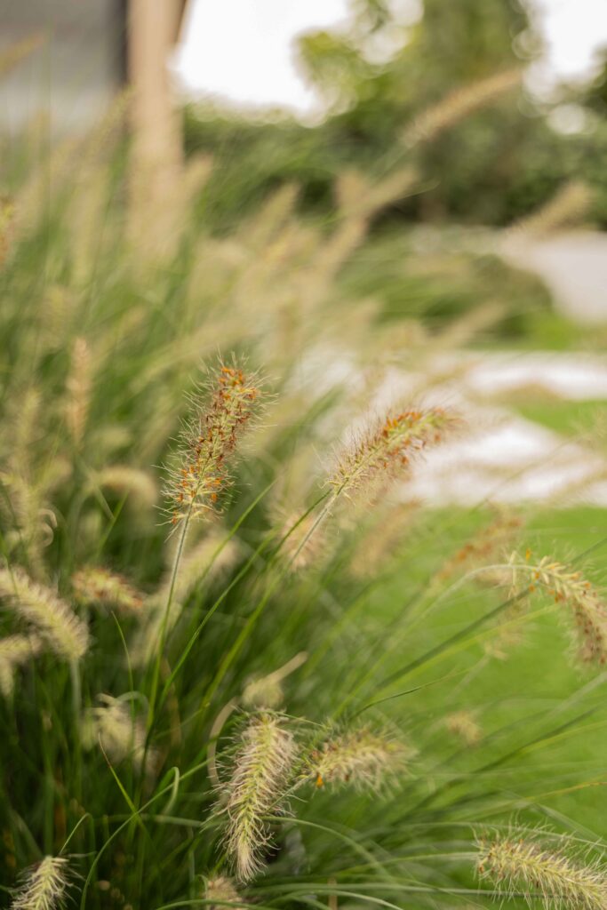 Tuinkamer met zitkuil aan het water