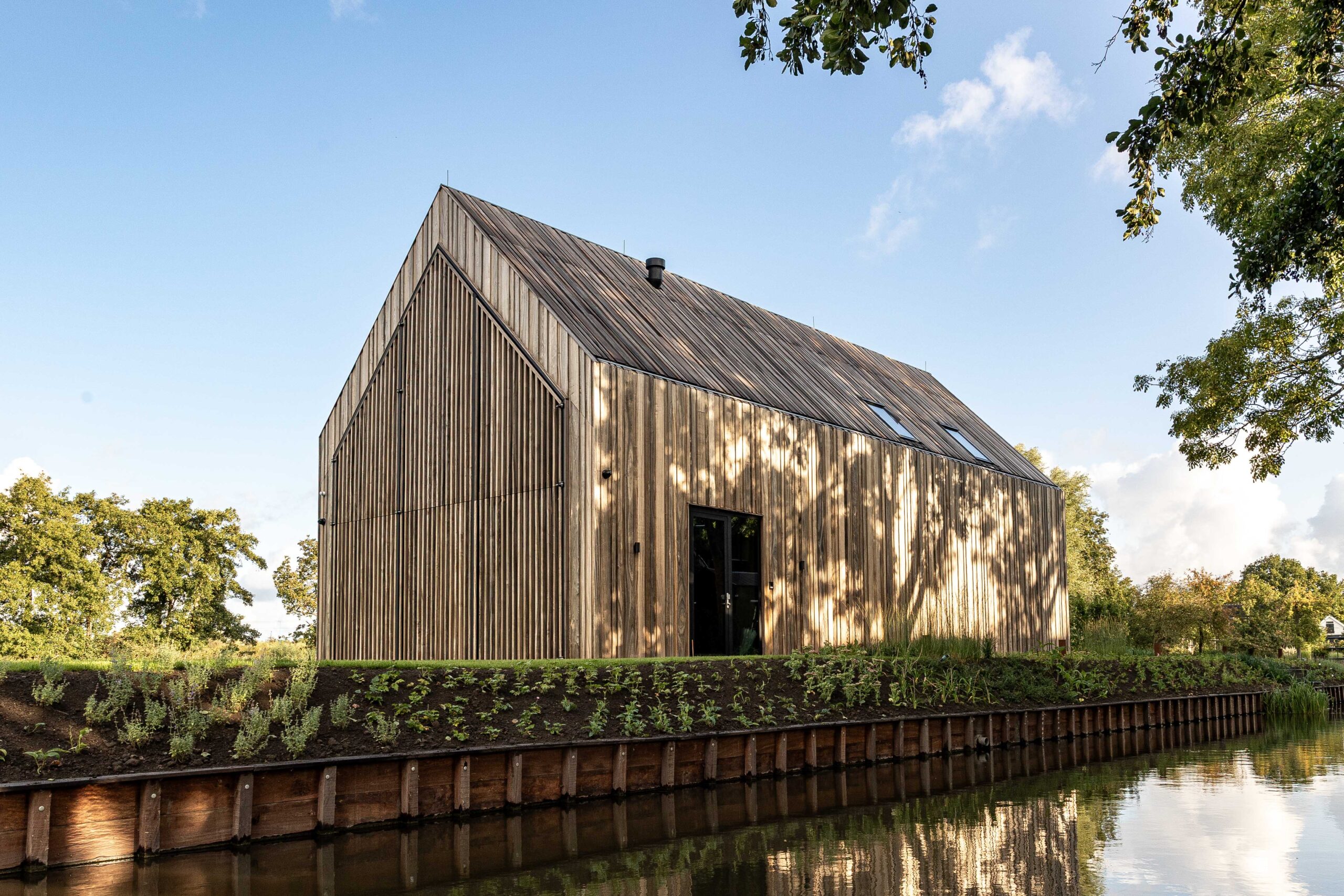 testimonial background