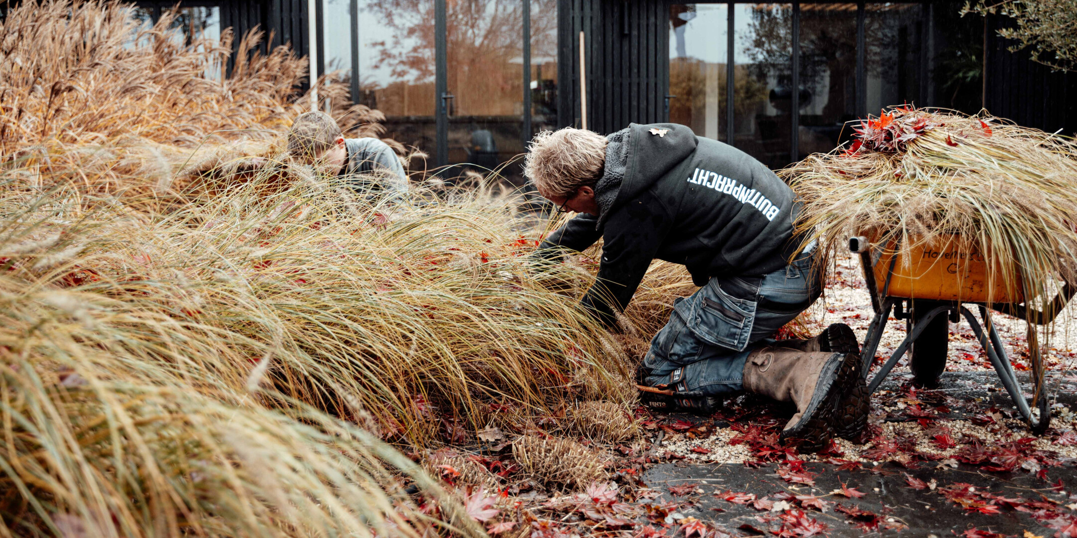 Onderhoud tuin Buitenpracht